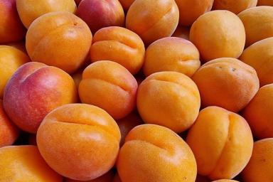 абрикоса